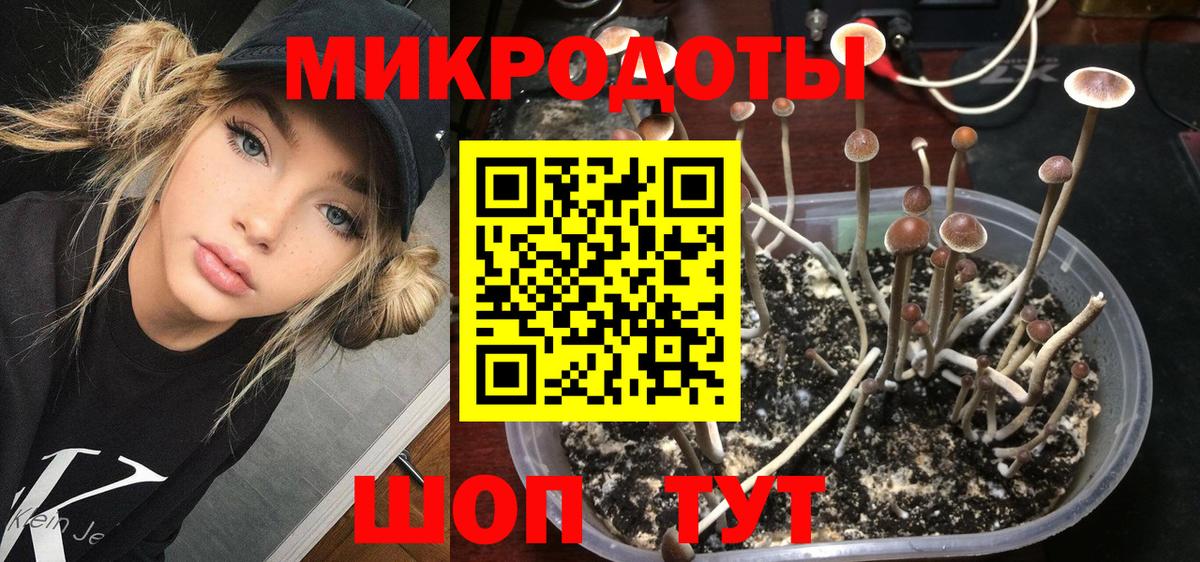 Галлюциногенные грибы Psilocybe  Псилоцибиновые грибы Cubensis  Обнинск  Вход с VPN 