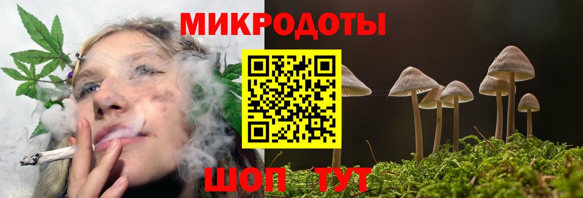 Галлюциногенные грибы прущие грибы Обнинск